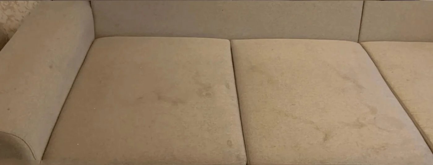 Carpet Cleaning Specialists after Figtree