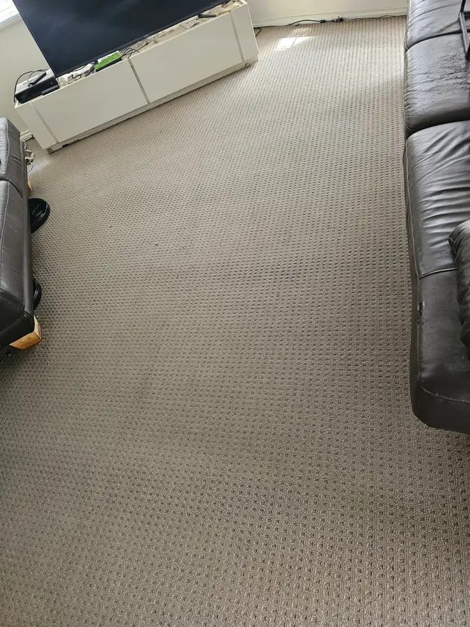 On-site Same Day Carpet Cleaning finish in Grays Point, Sydney