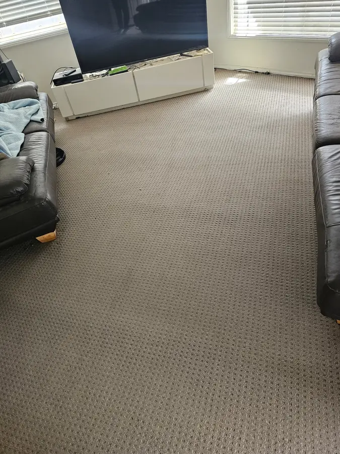 Before and during Same Day Carpet Cleaning job in Jannali