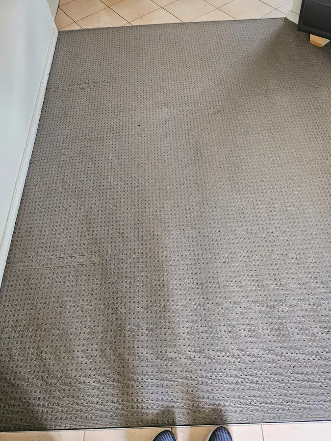 Clean fibres after Same Day Carpet Cleaning — Eastwood