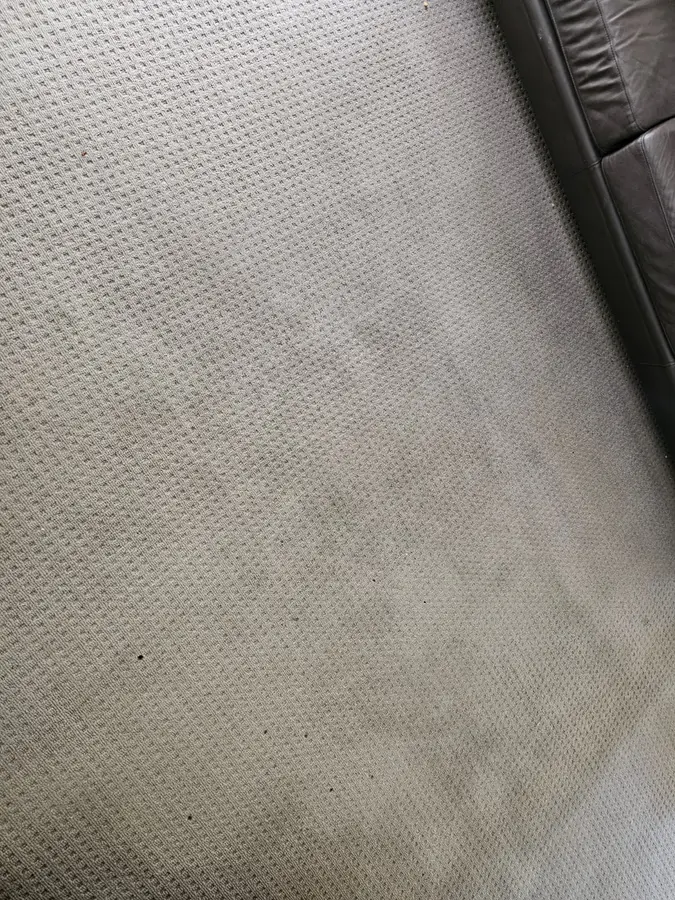 Before and during Same Day Carpet Cleaning job in Hornsby