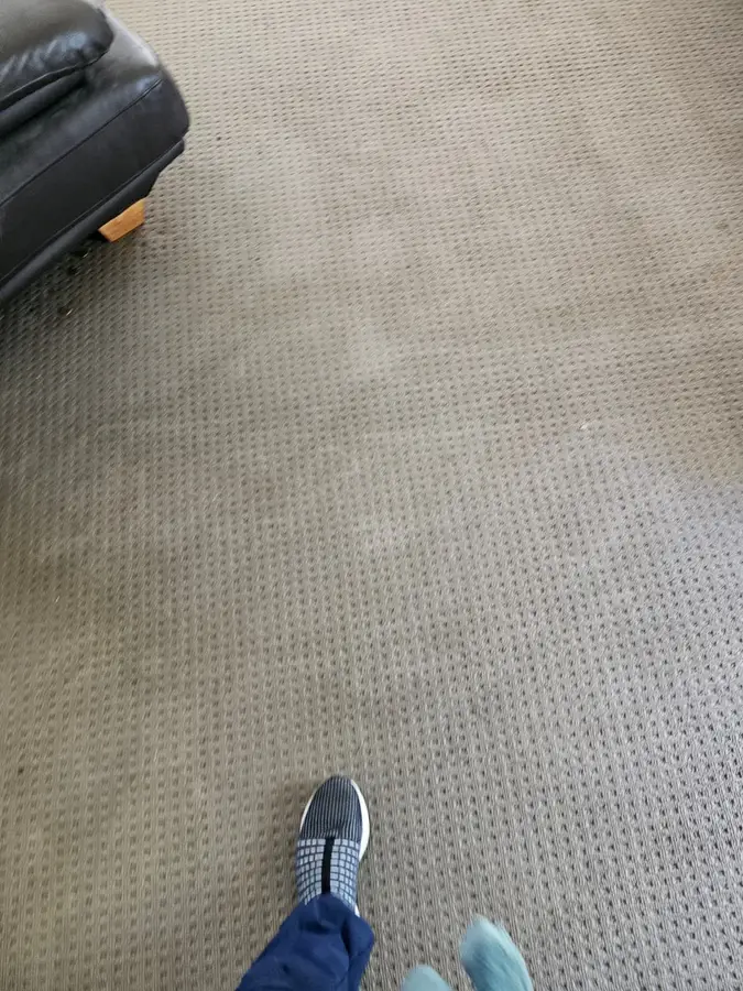 carpet cleaning equipment used in Manly