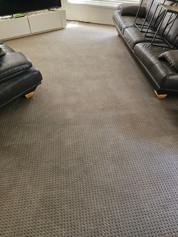 Clean fibres after Same Day Carpet Cleaning — Grays Point