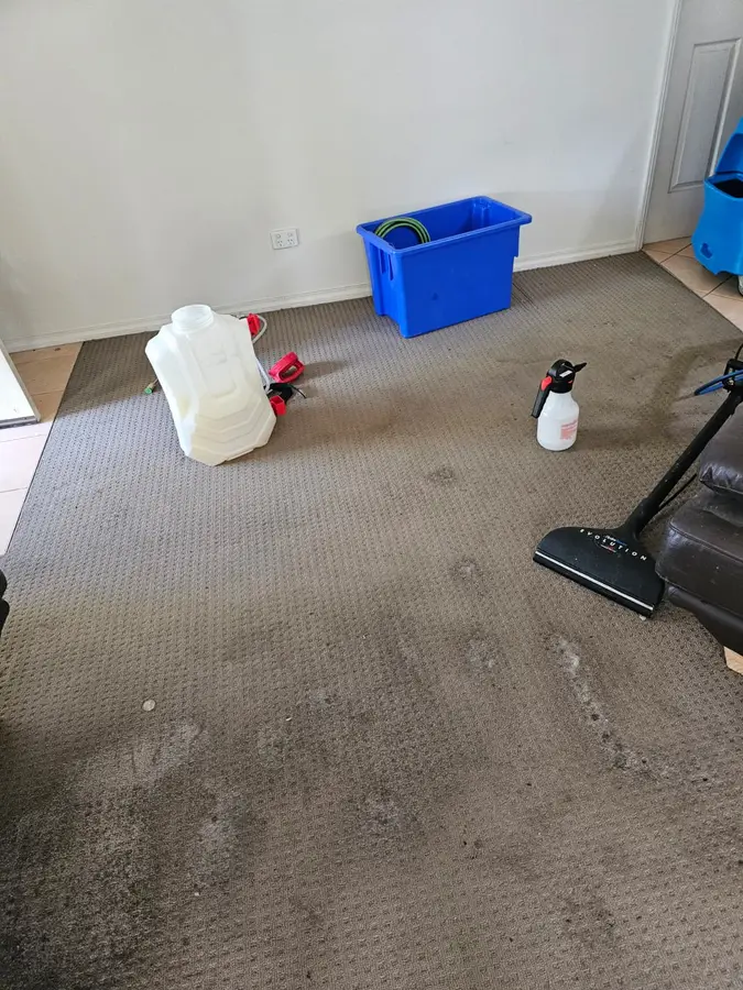 Professional Same Day Carpet Cleaning results in Kyeemagh