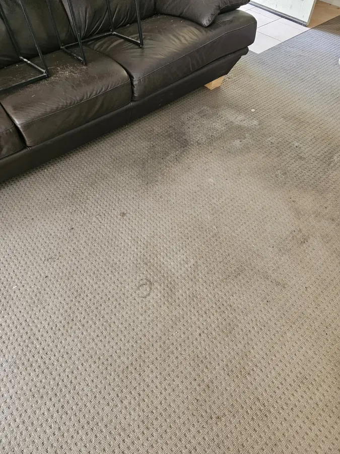 On-site Same Day Carpet Cleaning finish in Doonside, Sydney