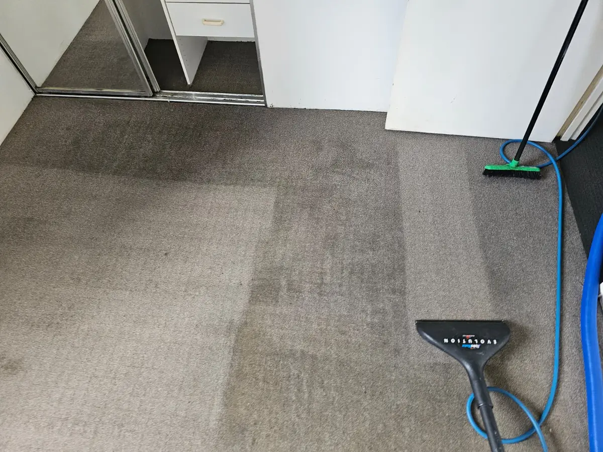 Professional Same Day Carpet Cleaning results in Leppington