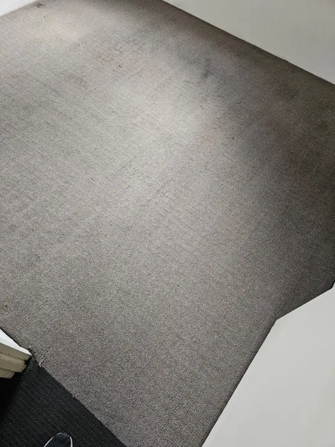 Professional Same Day Carpet Cleaning results in Marsden Park