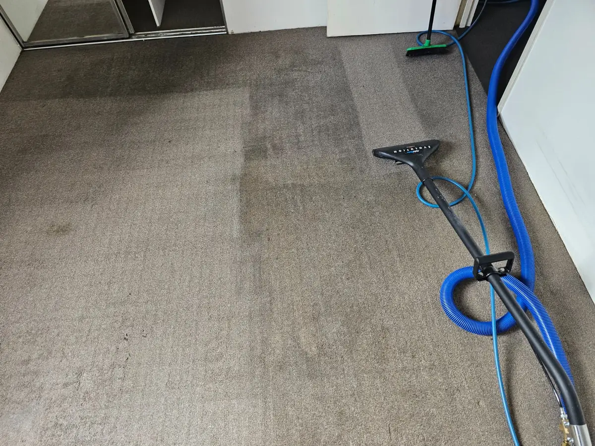 On-site Same Day Carpet Cleaning finish in Fairfield, Sydney