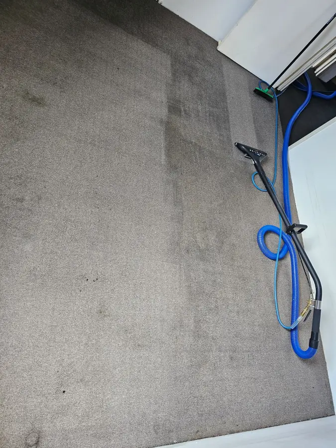 On-site Same Day Carpet Cleaning finish in Kogarah, Sydney