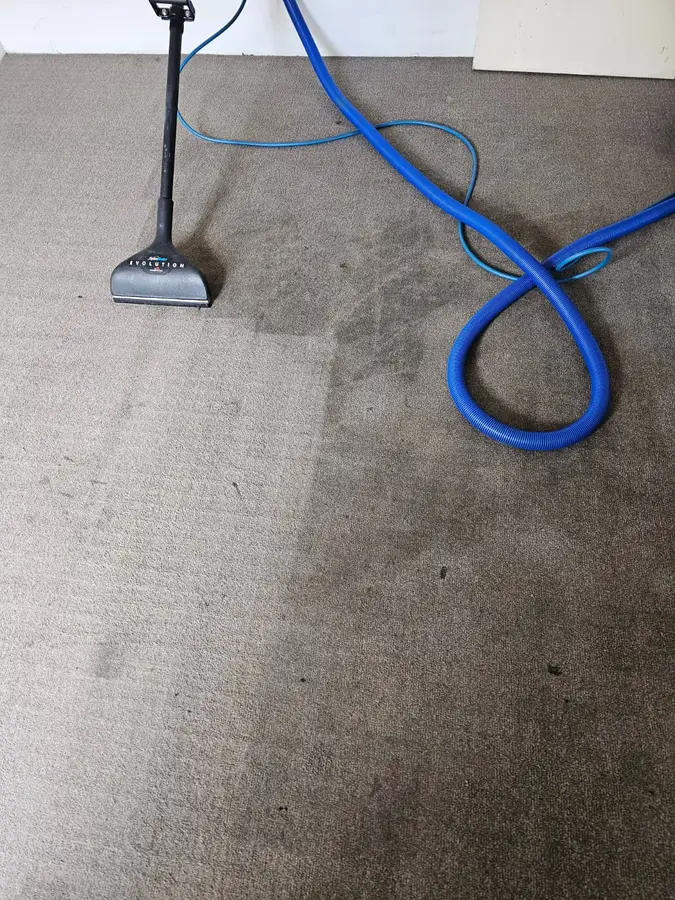 Before and during Same Day Carpet Cleaning job in Erskineville