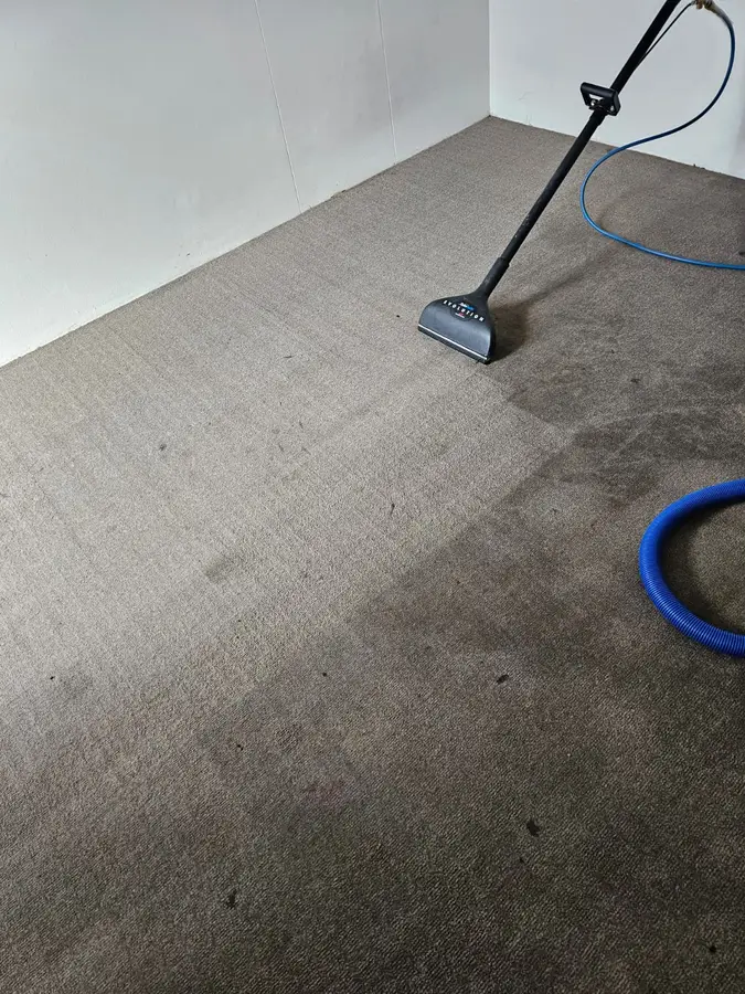 Clean fibres after Same Day Carpet Cleaning — Gordon