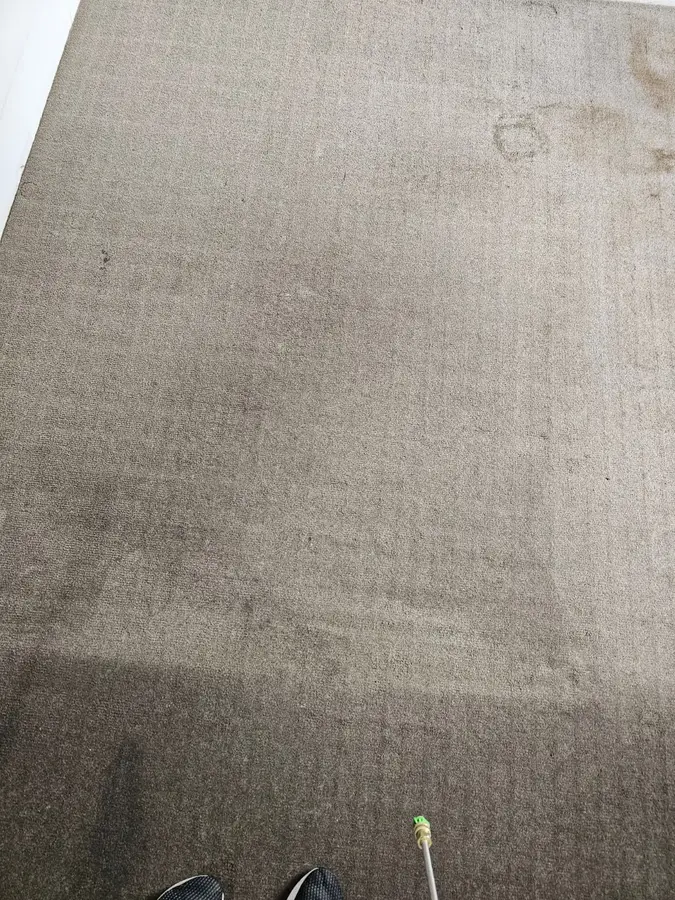 Before and during Same Day Carpet Cleaning job in Lane Cove