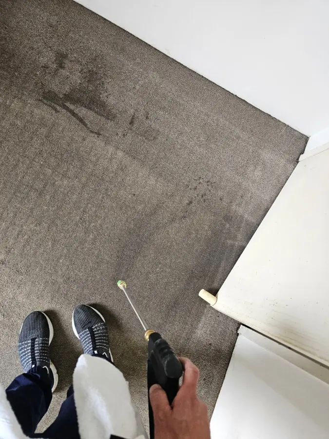 On-site Same Day Carpet Cleaning finish in Hornsby, Sydney