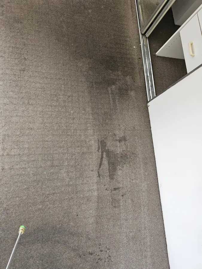 carpet cleaning equipment used in Glenfield