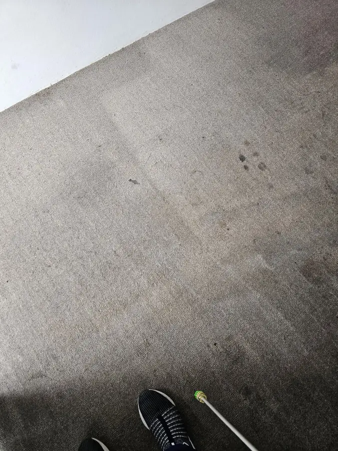 On-site Same Day Carpet Cleaning finish in Gordon, Sydney