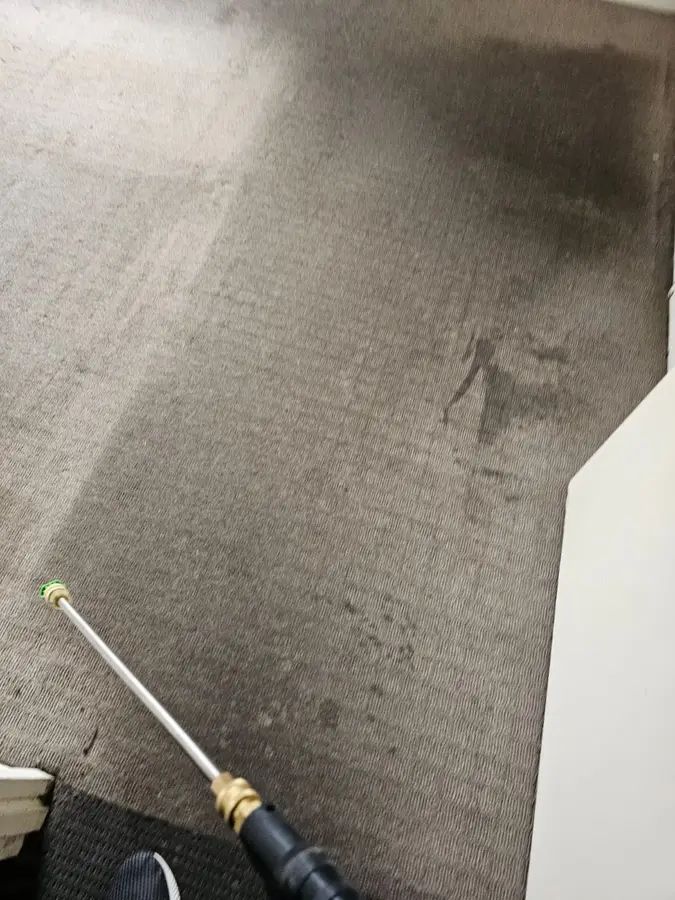 Professional Same Day Carpet Cleaning results in Kingsford