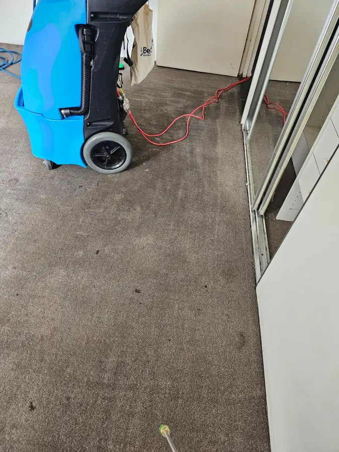 carpet cleaning equipment used in Hornsby