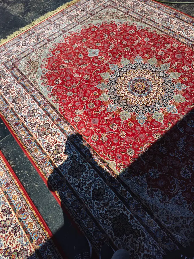 Clean fibres after Same Day Carpet Cleaning — Manly
