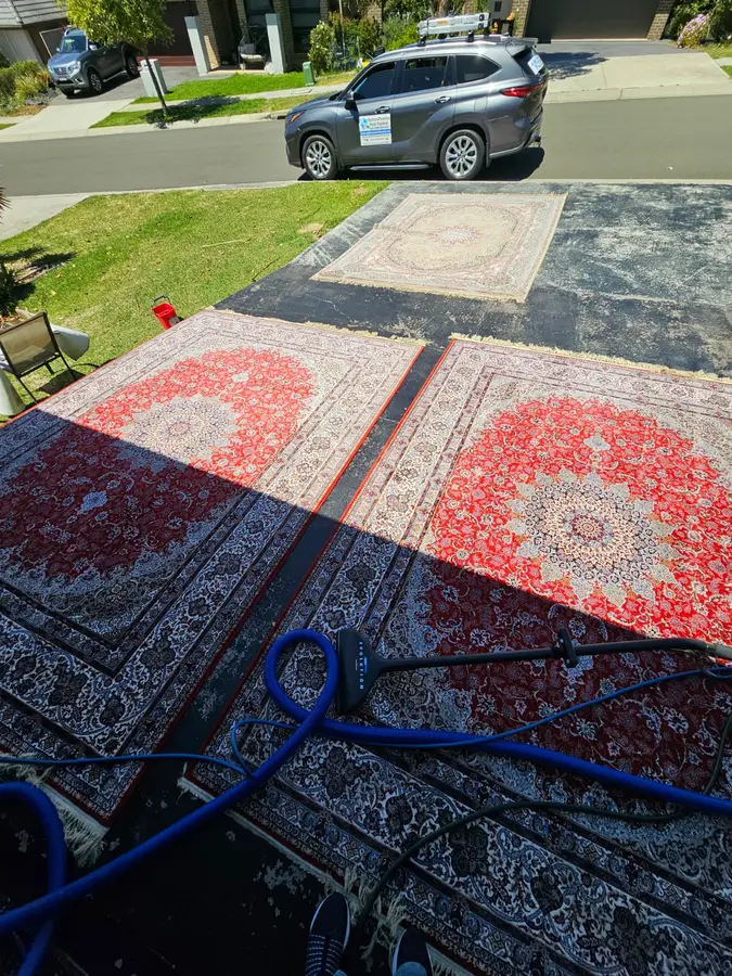 Clean fibres after Same Day Carpet Cleaning — Lidcombe