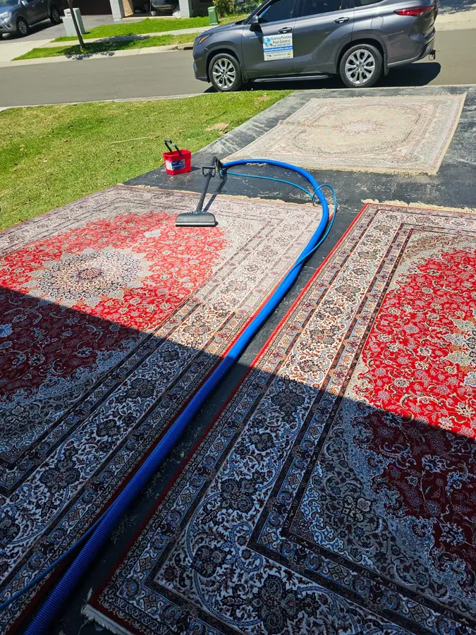 Before and during Same Day Carpet Cleaning job in Picton
