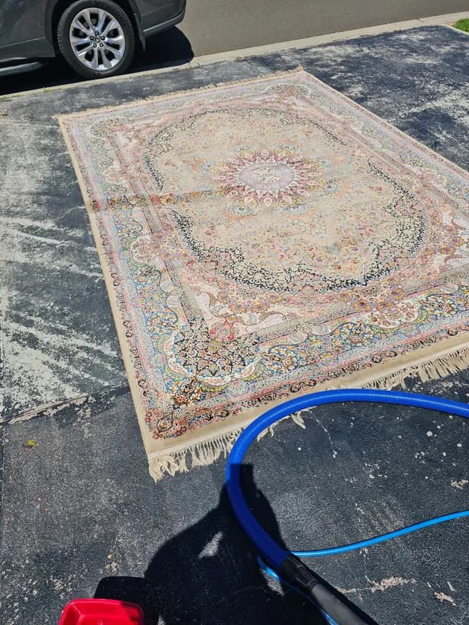 Clean fibres after Same Day Carpet Cleaning — Kellyville
