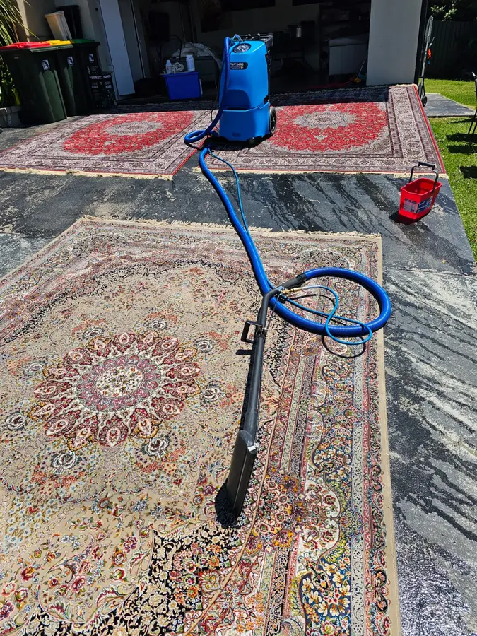 Professional Same Day Carpet Cleaning results in Gymea Bay