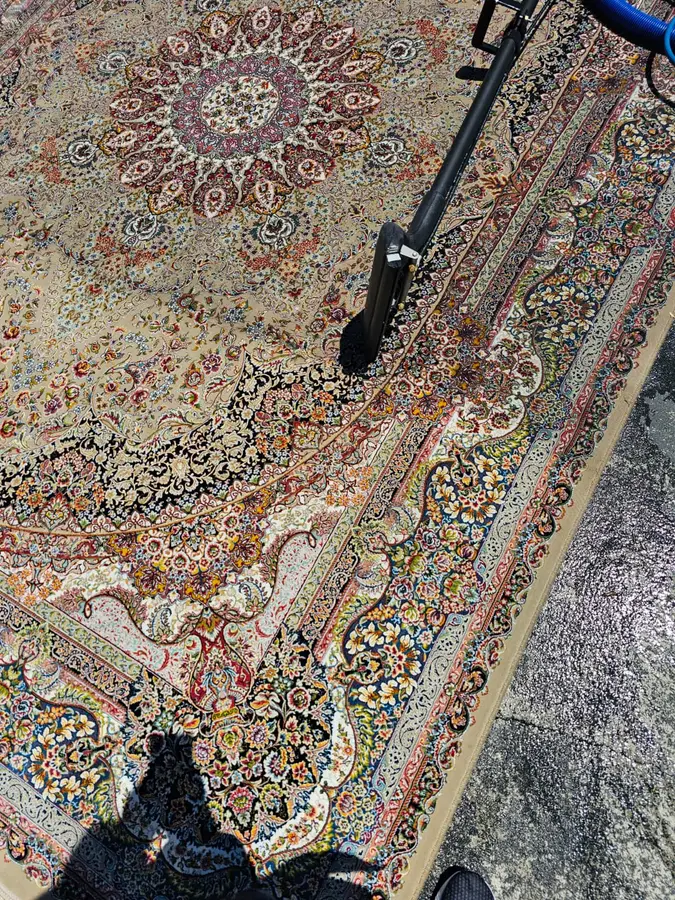 Professional Same Day Carpet Cleaning results in Grays Point