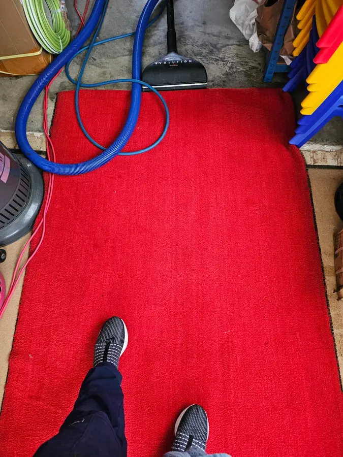 Clean fibres after Same Day Carpet Cleaning — Dean Park