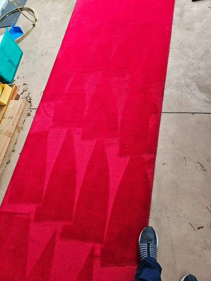 Professional Same Day Carpet Cleaning results in Glebe