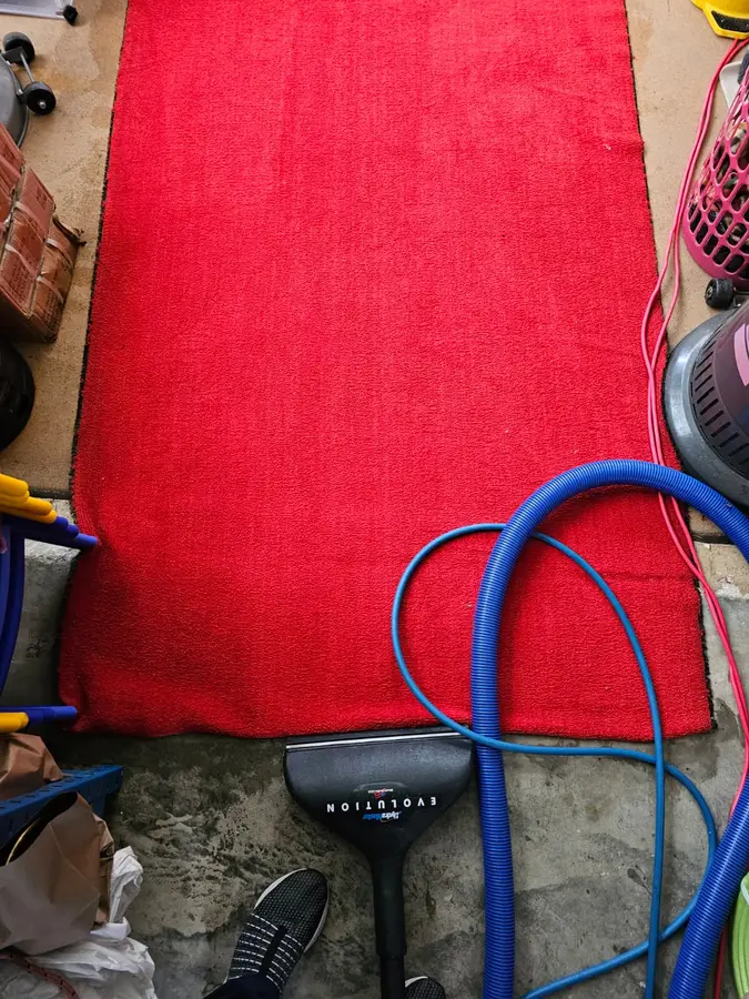 On-site Same Day Carpet Cleaning finish in Kingsford, Sydney