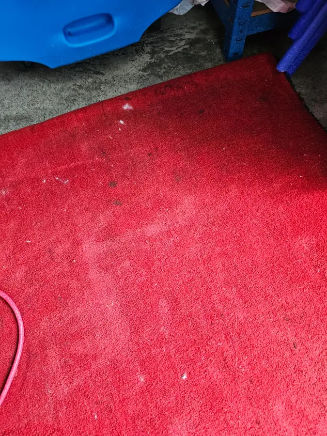 Before and during Same Day Carpet Cleaning job in Doonside