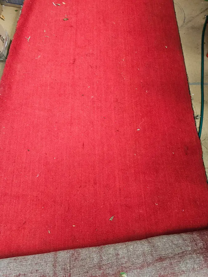 On-site Same Day Carpet Cleaning finish in Double Bay, Sydney