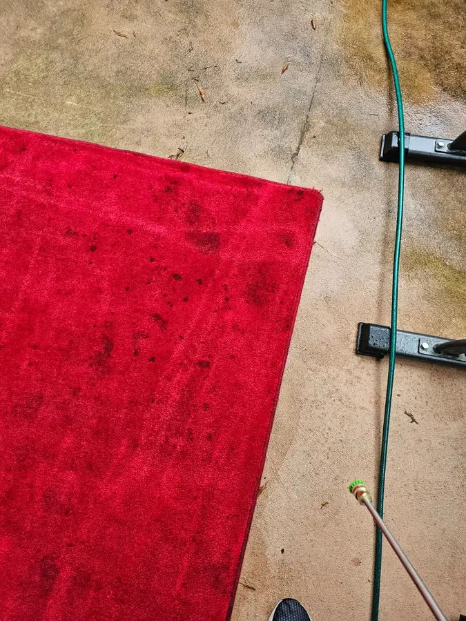 On-site Same Day Carpet Cleaning finish in Lansvale, Sydney