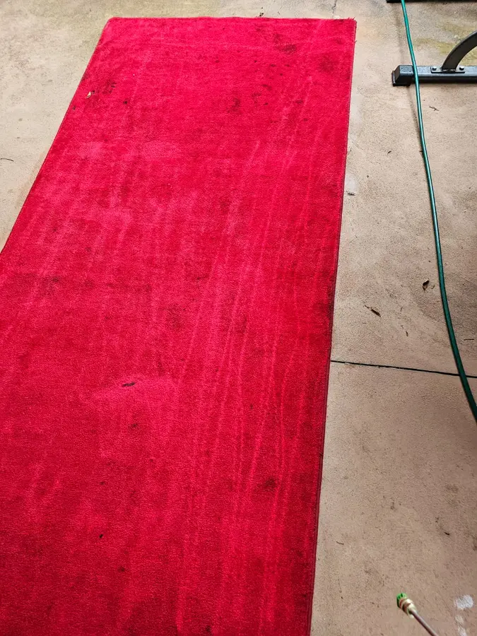 Professional Same Day Carpet Cleaning results in Jannali