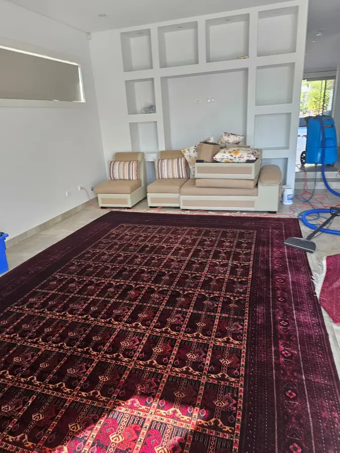 carpet cleaning equipment used in Doonside