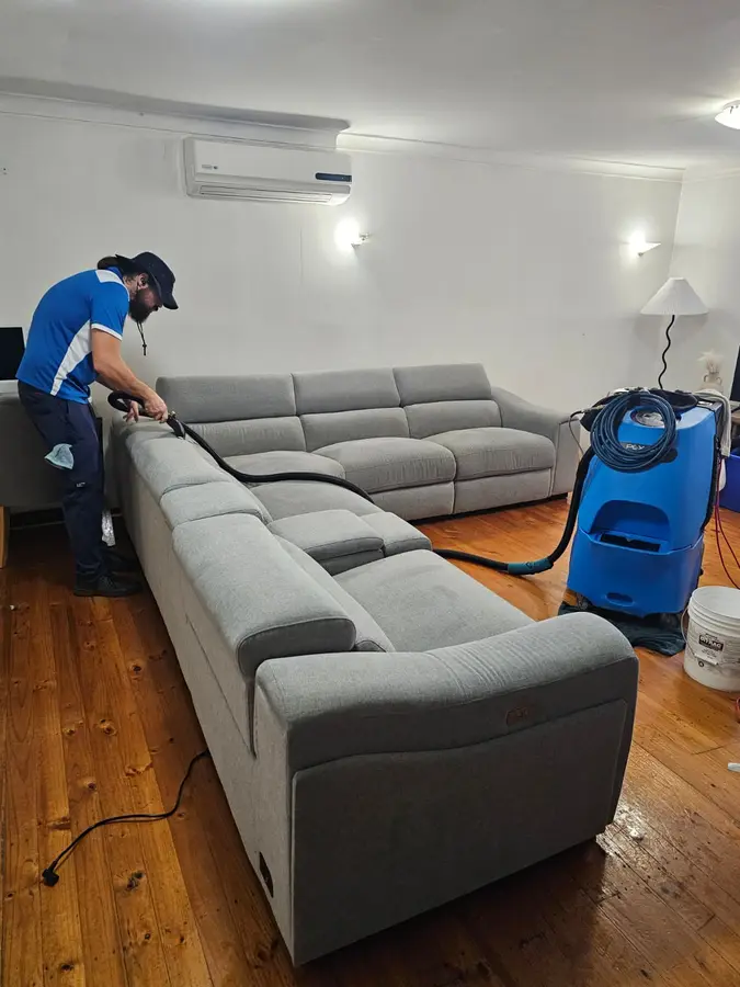 Professional Same Day Carpet Cleaning results in Dover Heights