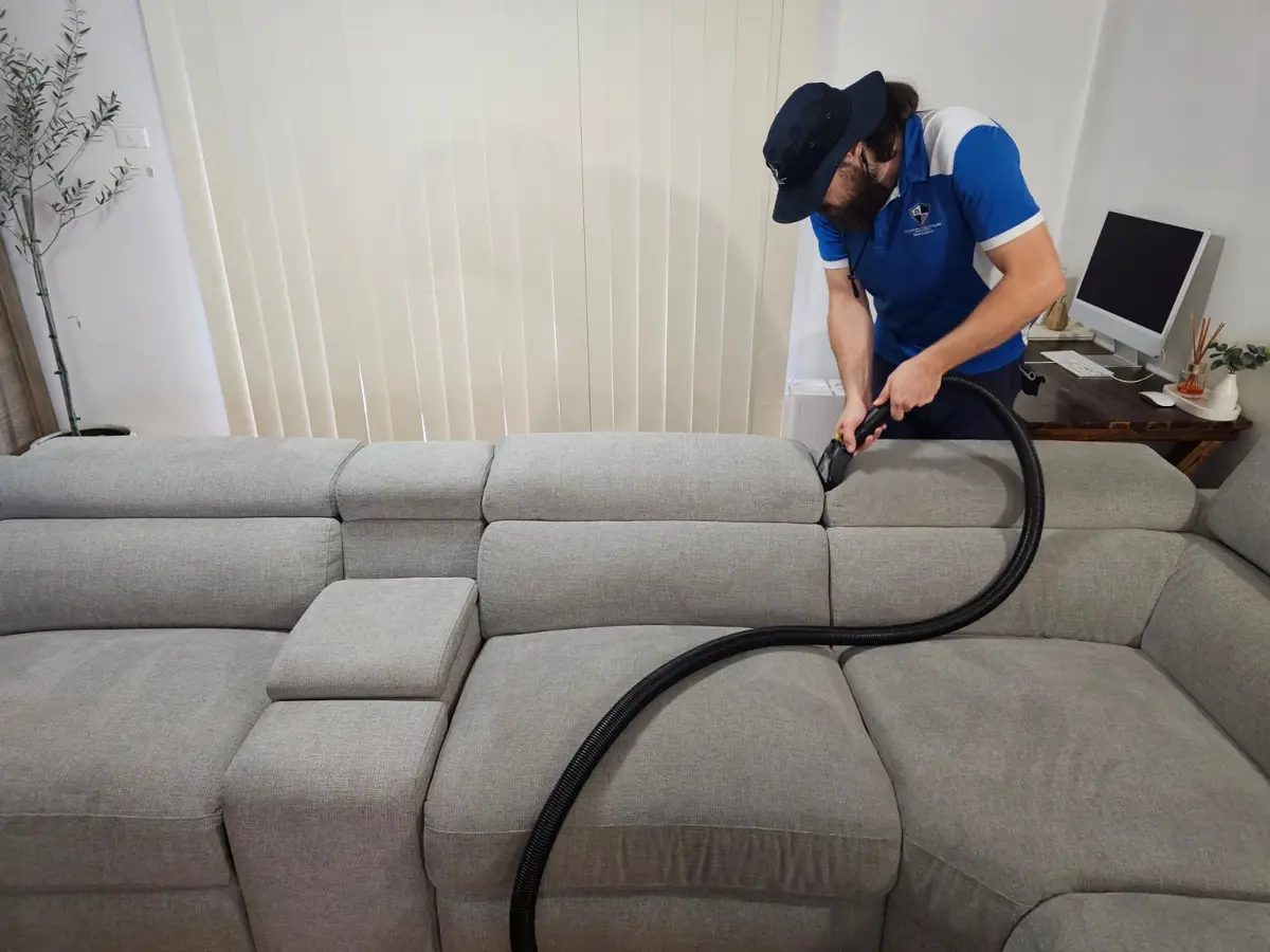 Clean fibres after Same Day Carpet Cleaning — Kirrawee