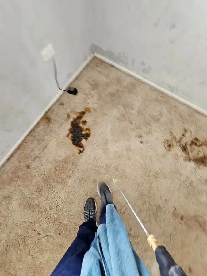carpet cleaning equipment used in Gregory Hills