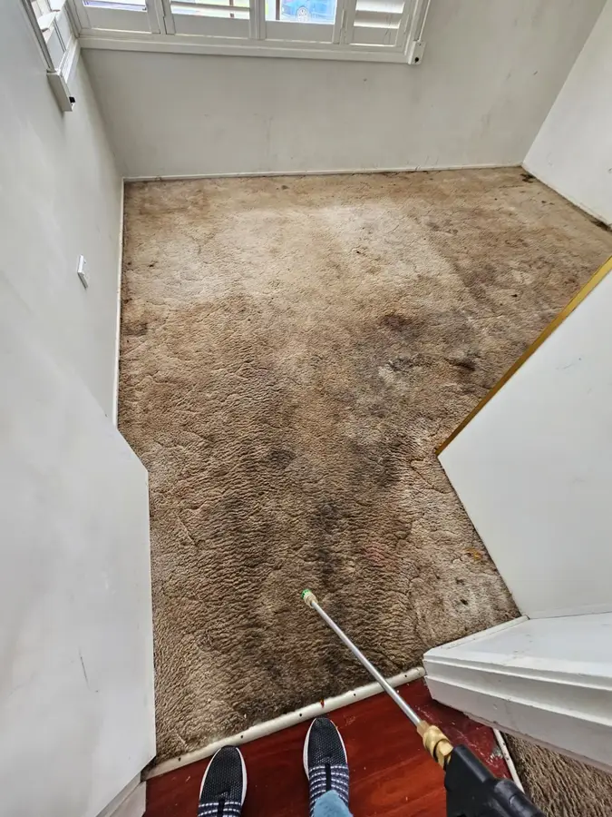 On-site Same Day Carpet Cleaning finish in Fairfield West, Sydney