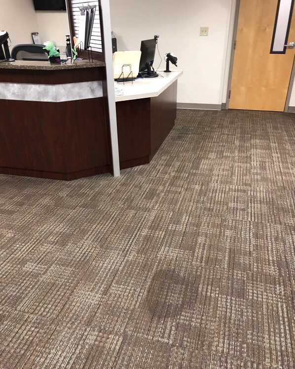 Sydney Carpet Cleaning