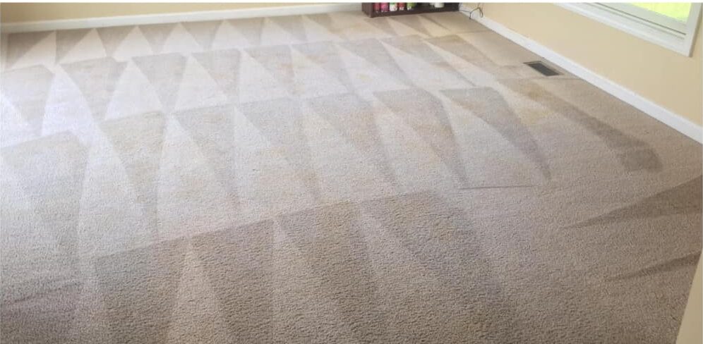 Sydney Carpet Cleaning
