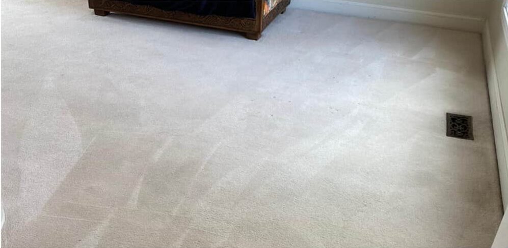 Sydney Carpet Cleaning