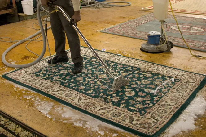 Carpet Cleaning Sydney
