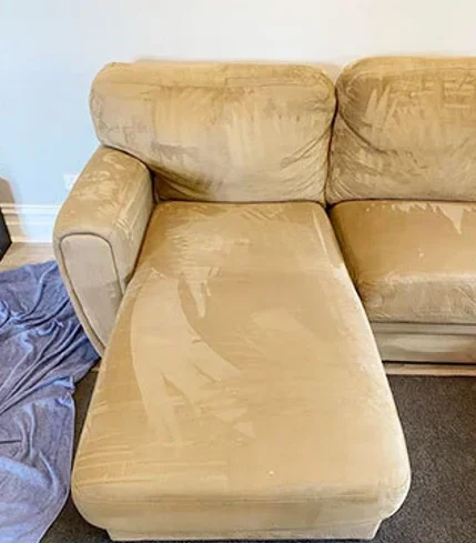 Sydney Carpet Cleaning