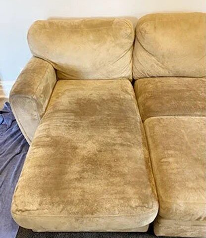 Sydney Carpet Cleaning