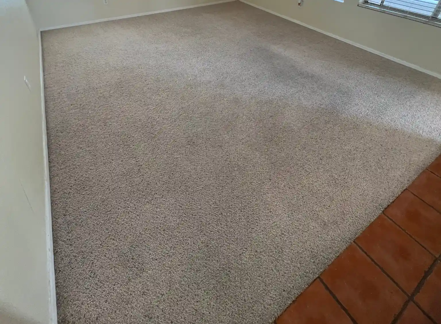 Sydney Carpet Cleaning