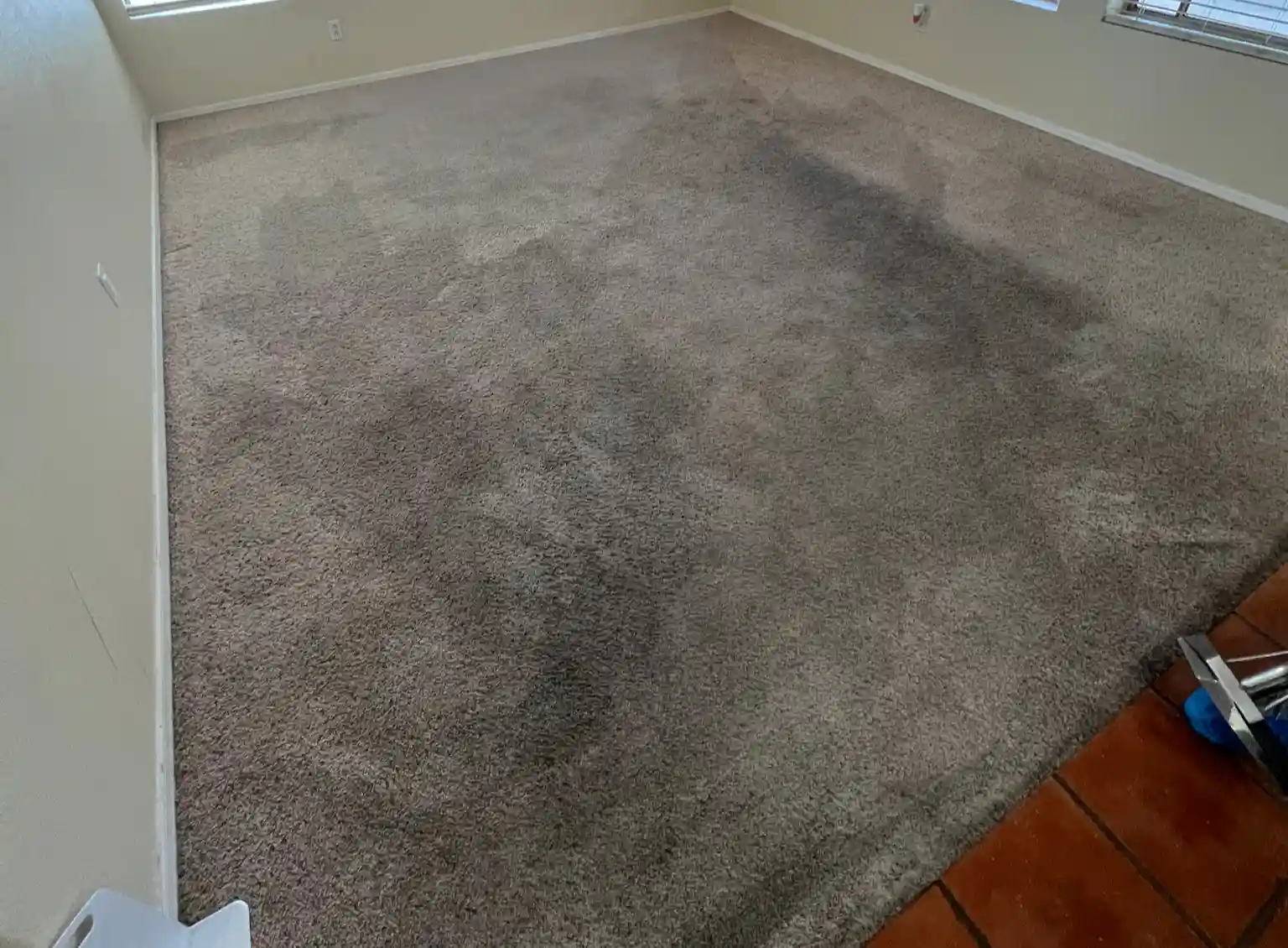 Sydney Carpet Cleaning