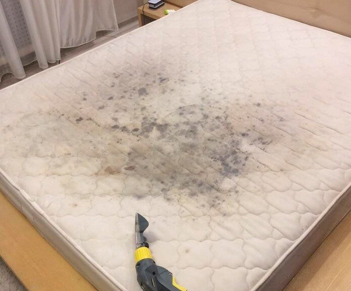 Sydney Carpet Cleaning